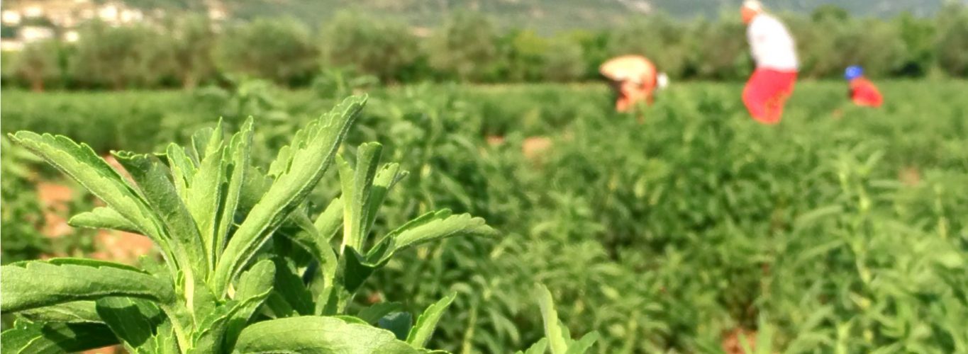 article1-1 article1-1