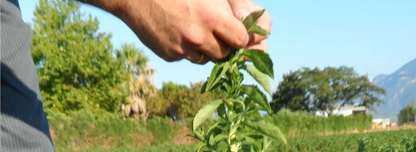 article1-2 article1-2